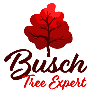 Busch Tree Expert, LLC
