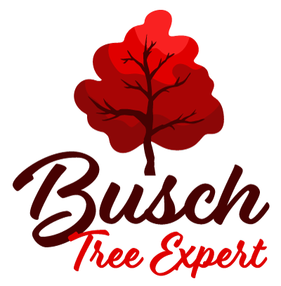 Tree Cutting Service in Racine, WI | Busch Tree Expert, LLC